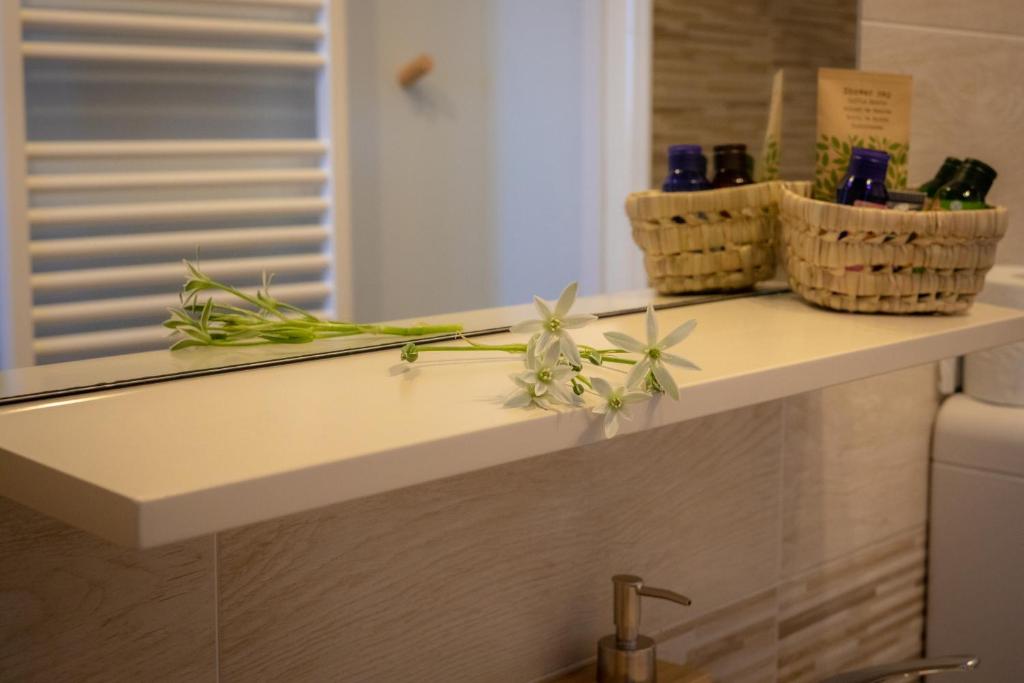 Fotografie z fotogalerie ubytování B&B LA MIMOSA E IL GELSOMINO v destinaci Canneto Pavese