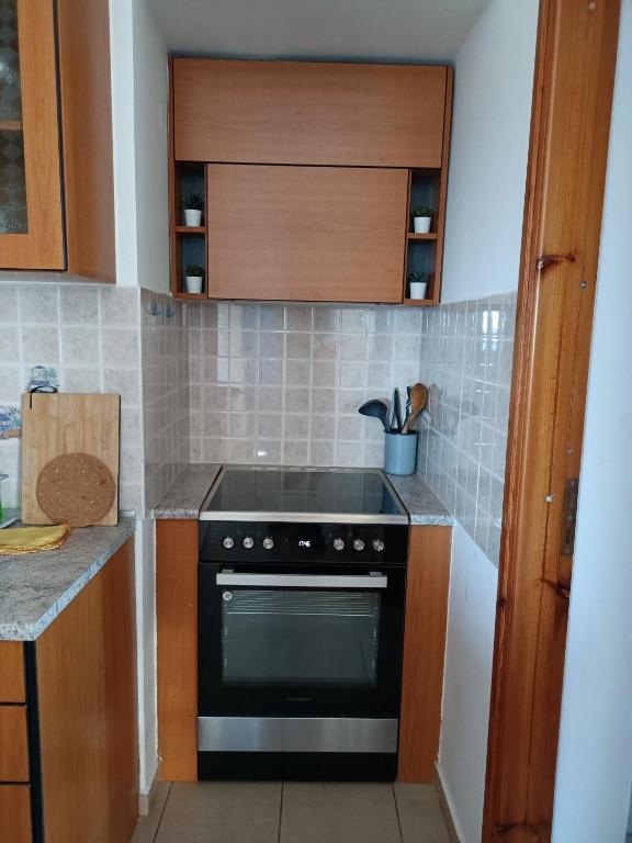 Kuchyňa alebo kuchynka v ubytovaní Sea view Pine house