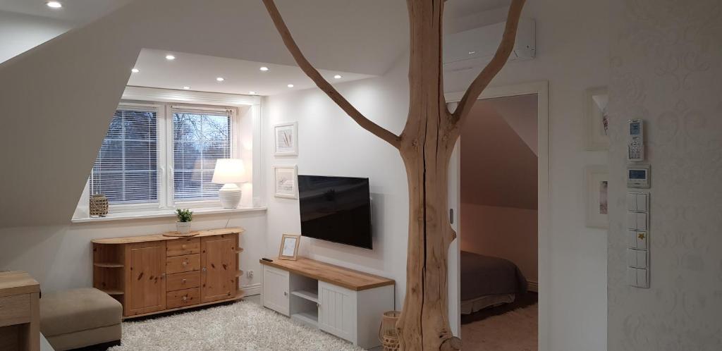 a room with a tv and a tree in it at Apartments The Space in Drawsko Pomorskie