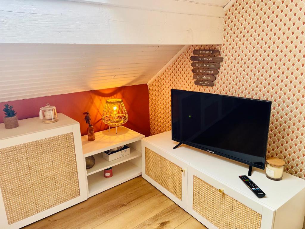 Televízia a/alebo spoločenská miestnosť v ubytovaní Charmant appartement idéalement situé