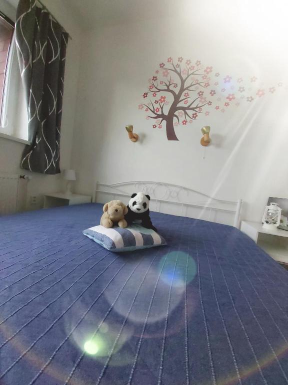Fotografie z fotogalerie ubytování Apartmán Tony Slapy ve Slapech