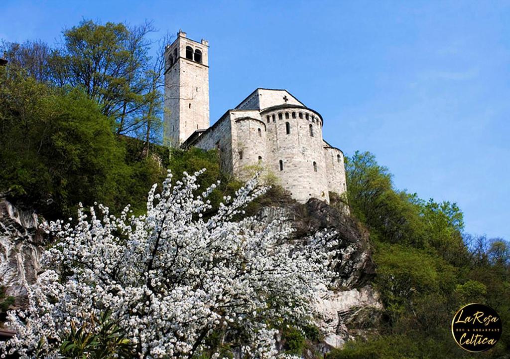Fotografie z fotogalerie ubytování B&B La Rosa Celtica v destinaci Capo di Ponte