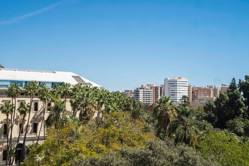 Výhľad na mesto Malaga alebo výhľad na mesto priamo z apartmánu