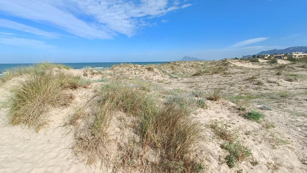 OLIVA NOVA – GOLF&BEACH CABAGUA, Oliva – Updated 2023 Prices