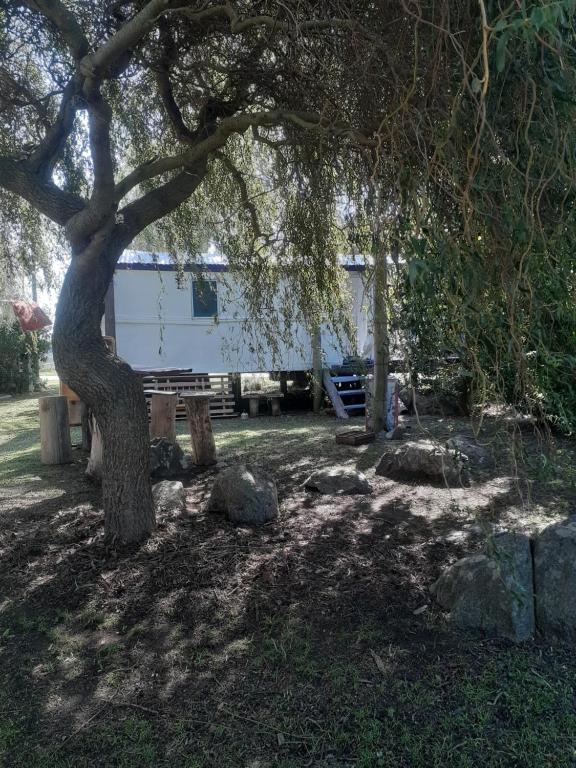 a tree and a bench in front of a trailer at Casa Vagón en las sierras in Tandil