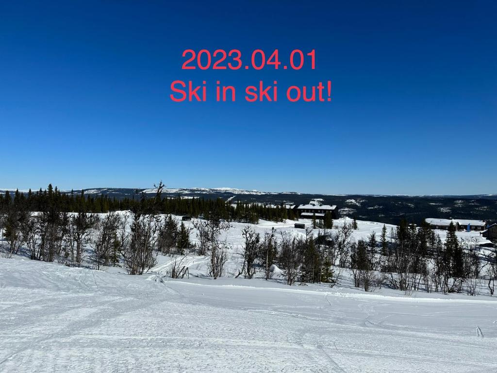 Perfect moutain getaway! Beautiful Apartment at Skagahøgdi with Panoramic View v zimě