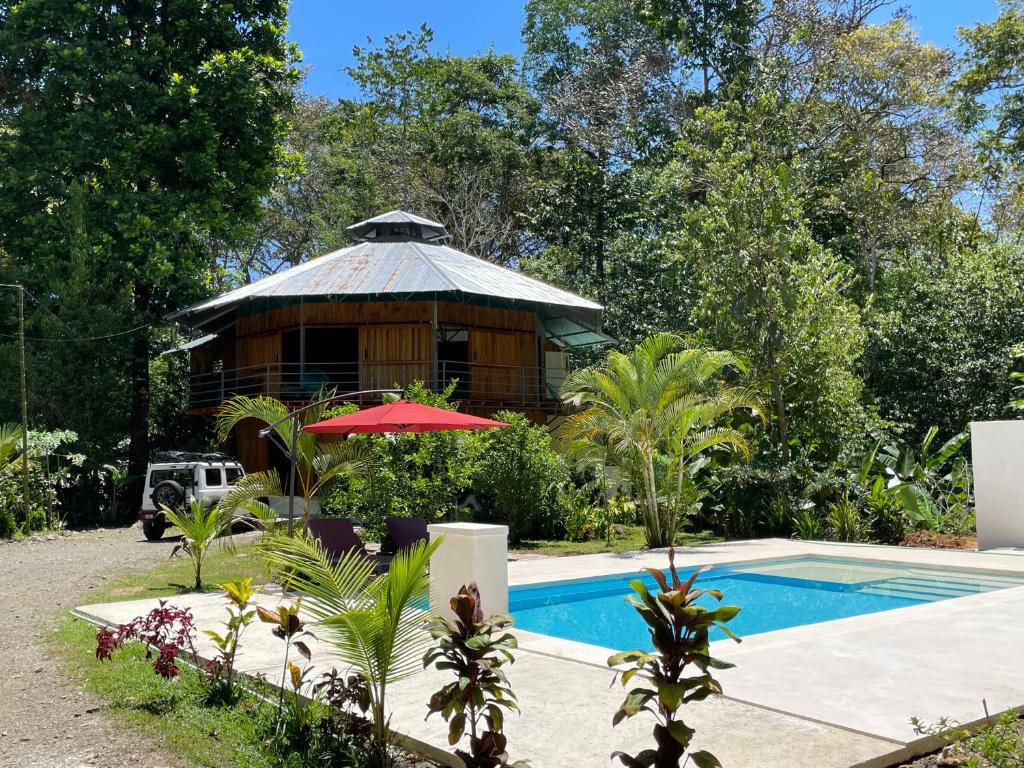 Piscine de l'établissement La Amapola Lodge, Bungalow en Península de Osa. ou située à proximité
