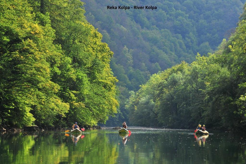 Paesaggio naturale nelle vicinanze dell'appartamento