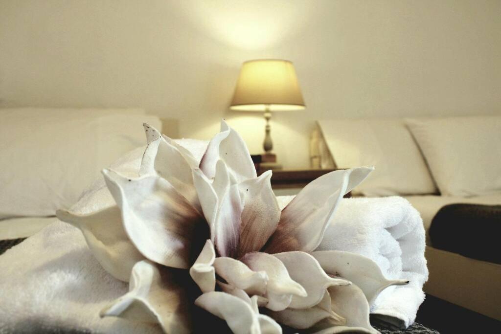 une fleur blanche assise au-dessus d'un lit dans l'établissement Sunrise cottage, à Gaios