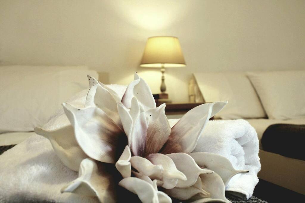 a white flower sitting on top of a bed at Sunrise cottage in Antípaxos