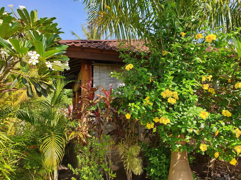 Zahrada ubytování Waiara Village Guesthouse