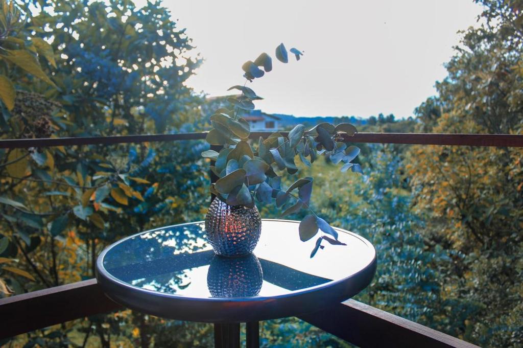 Aed väljaspool majutusasutust Chalets en Santa Elena en medio del Bosque