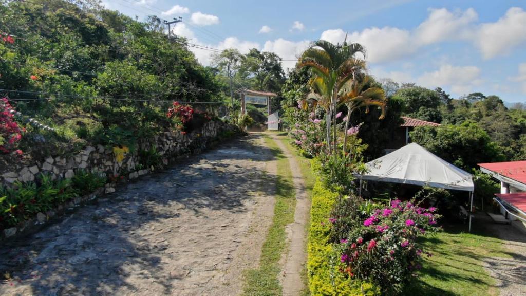 a road leading to a garden with flowers at Finca Agua Viva in Viotá