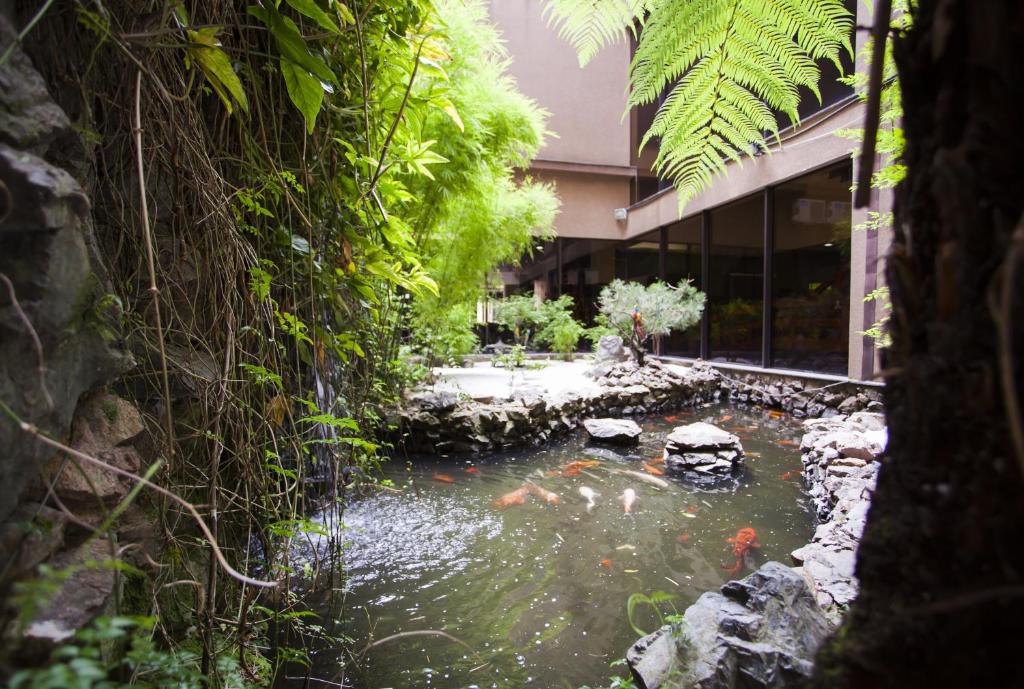  Hotel Nikko