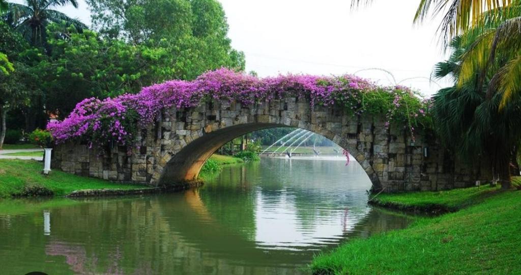 un puente de piedra con flores púrpuras sobre un río en Bdr Bukit Tinggi Klang Tropicana Garden Homestay en Klang