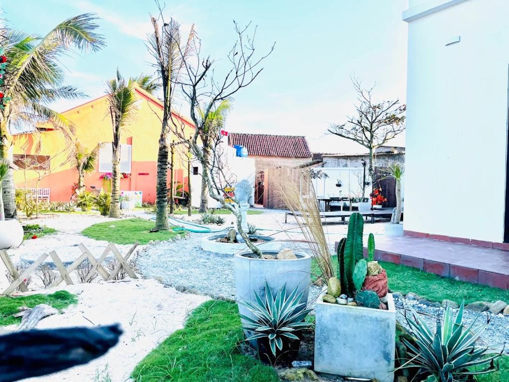 un jardin avec des cactus et des plantes dans une cour dans l'établissement JEJU Beach Front Villa, à Tam Kỳ