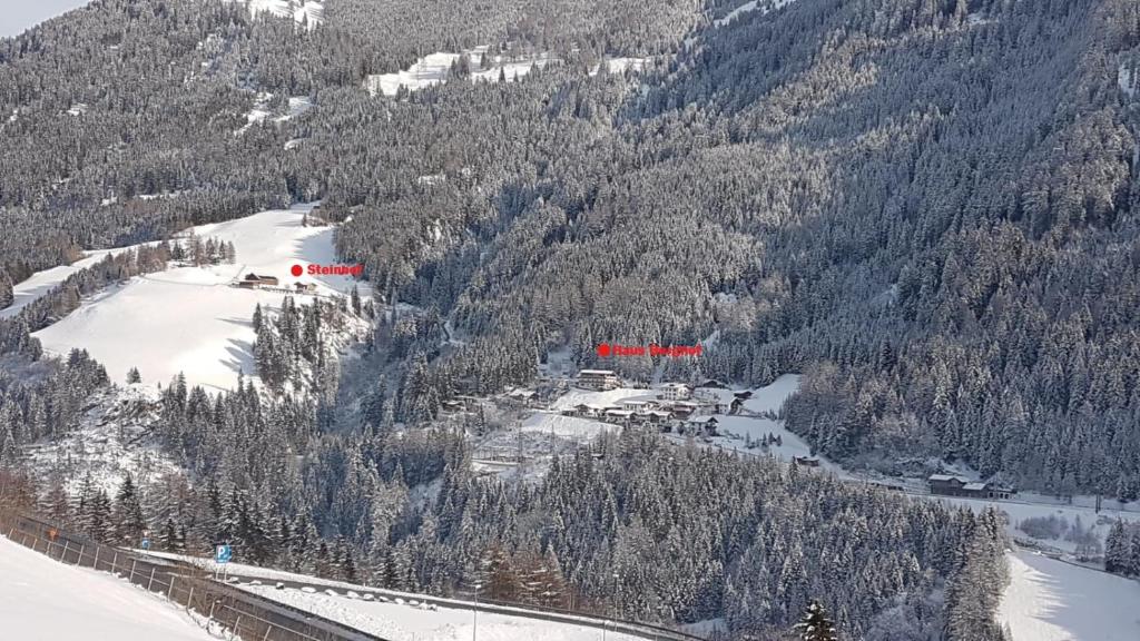 Příroda nedaleko apartmánu