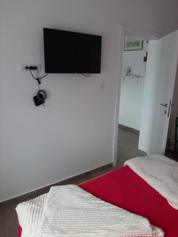 TV a/nebo společenská místnost v ubytování Apartman Jass