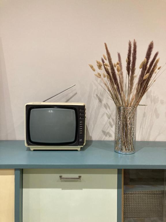 a television and a vase of flowers on a table at T3 rénové esprit vintage, au coeur du Verdon in Montagnac