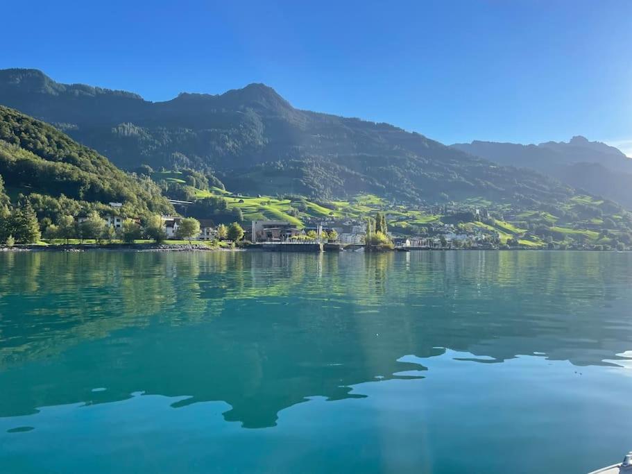 vistas a un lago con montañas en el fondo en Schöne Wohnung in Unterterzen am schönen Walensee, en Unterterzen