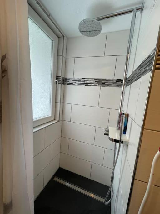 Koupelna v ubytování Schöne Wohnung in Unterterzen am schönen Walensee