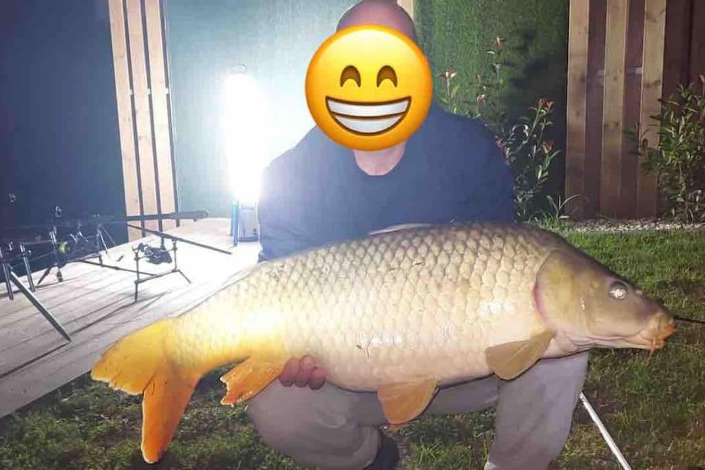 Zvířata v prázdninového domu nebo okolí