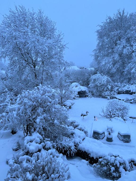 a snow covered garden with trees and bushes at Garden & Hill Ferienwohnung Limburg in Simmerath