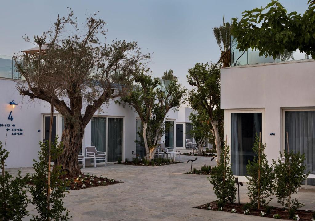 Beachfront Travel Proud Herbert Samuel Milos Dead Sea - Habitación Doble Superior Con Patio Y 1 O 2 Camas