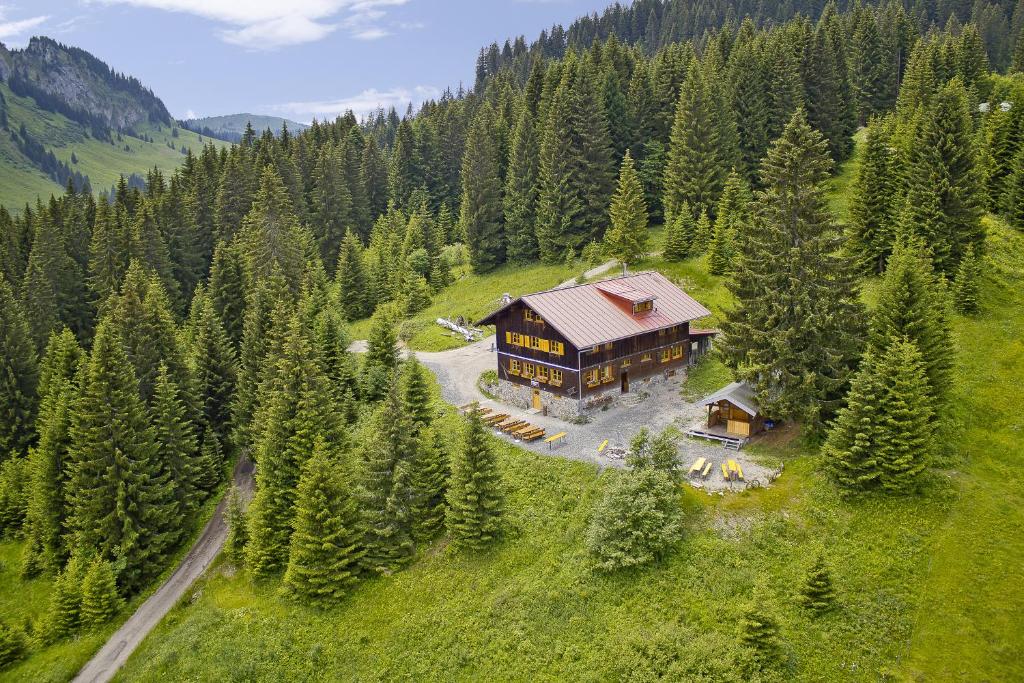 an aerial view of a house in the middle of a forest at Wannenkopfhütte in Obermaiselstein