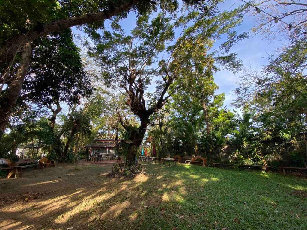 Rio Vista Bed and Breakfast - Superieure Tweepersoonskamer
