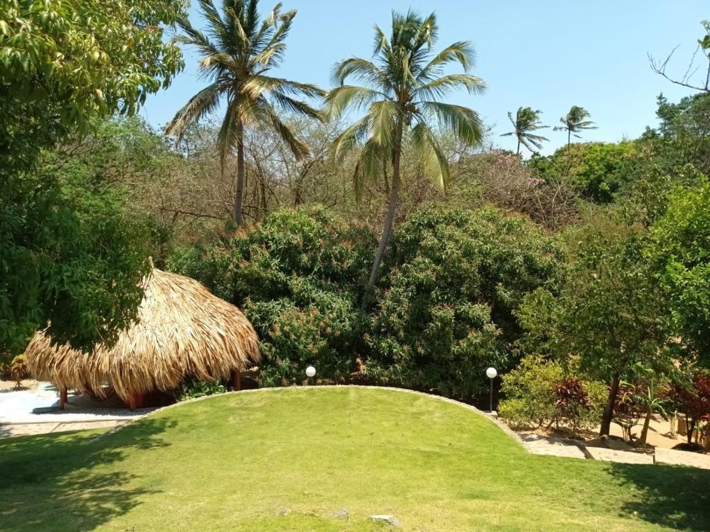 Aed väljaspool majutusasutust Finca de Nosotros