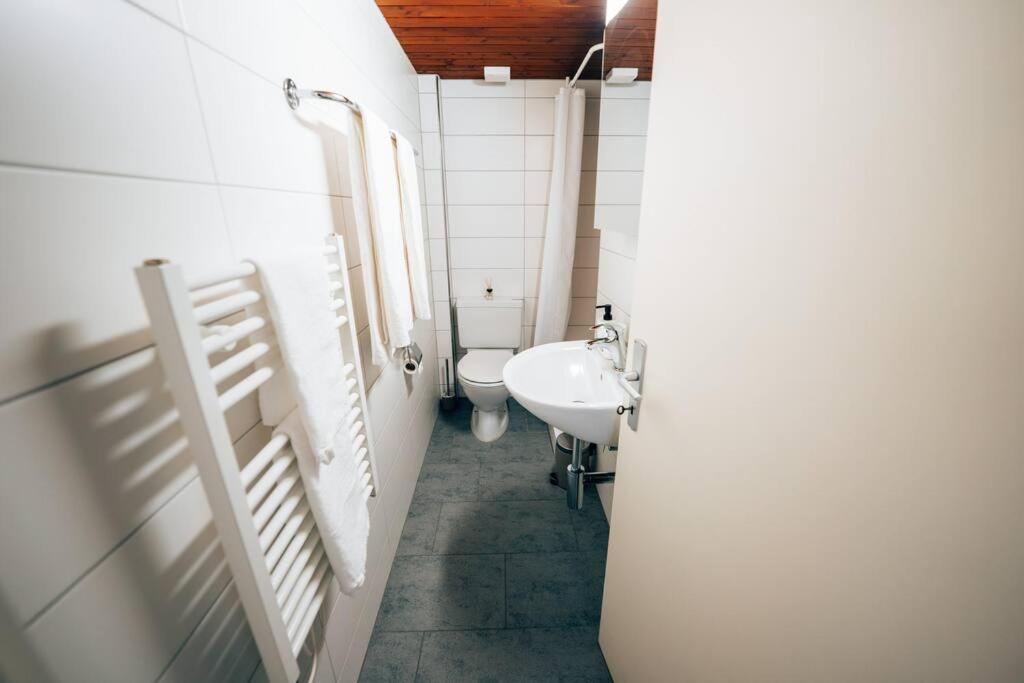 Koupelna v ubytování theNest Glarus Studio-Apartment