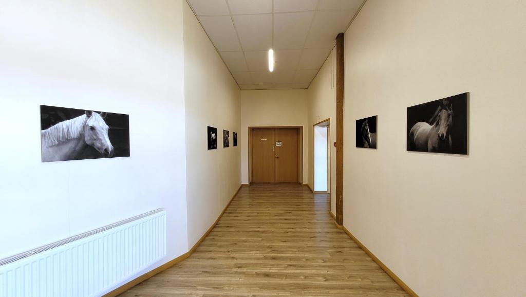 Foto Kildus asuva majutusasutuse Kildu külalistemaja galeriist