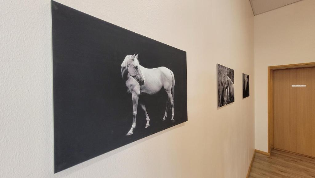 Foto Kildus asuva majutusasutuse Kildu külalistemaja galeriist