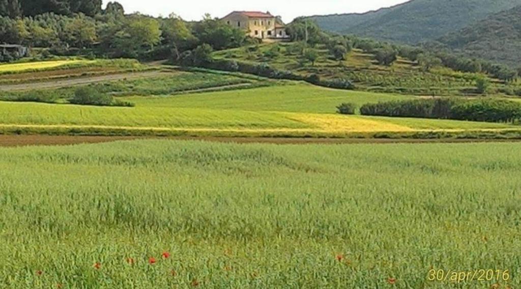 un campo de césped verde con una casa en el fondo en Agriturismo val martina, en Scarlino