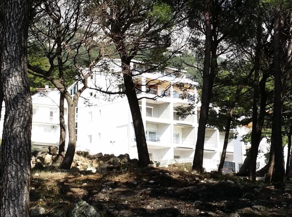 un edificio blanco con árboles delante de él en Apartments Lucija, en Brela