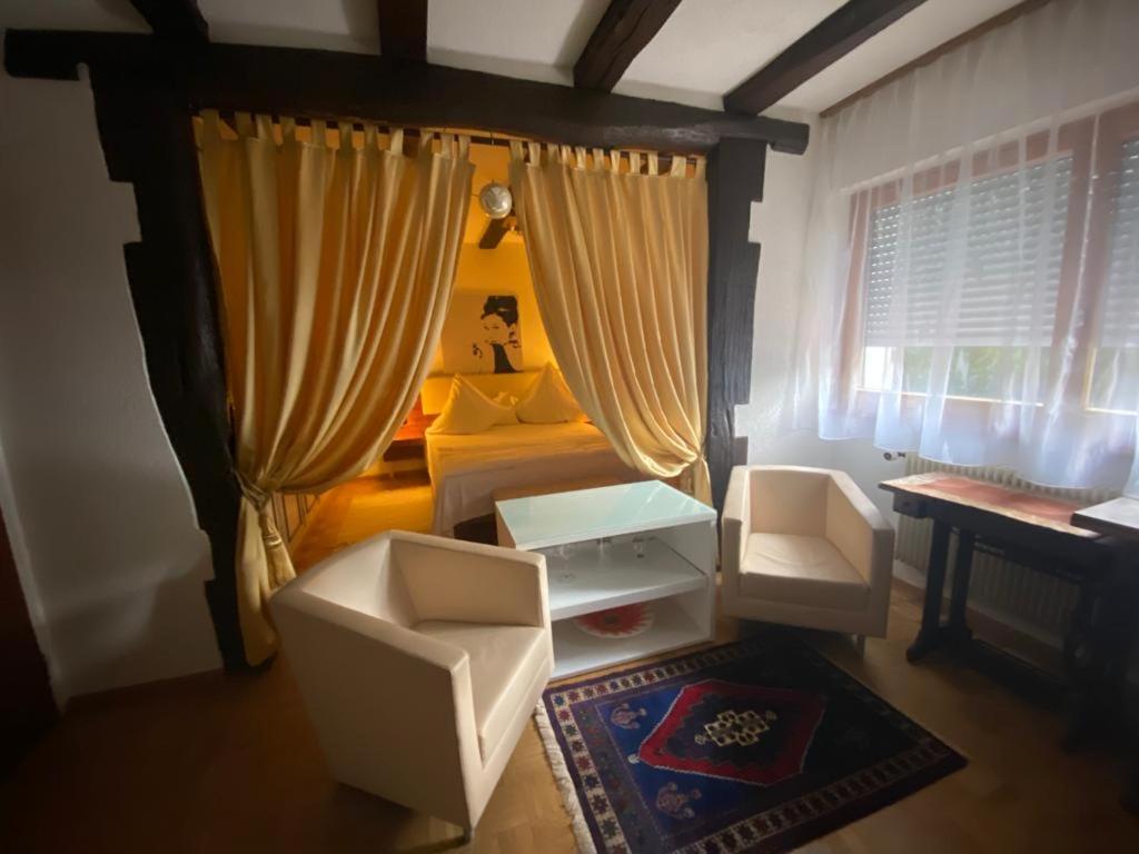 a living room with a bed and a window at RIVER side appartment in Huningue