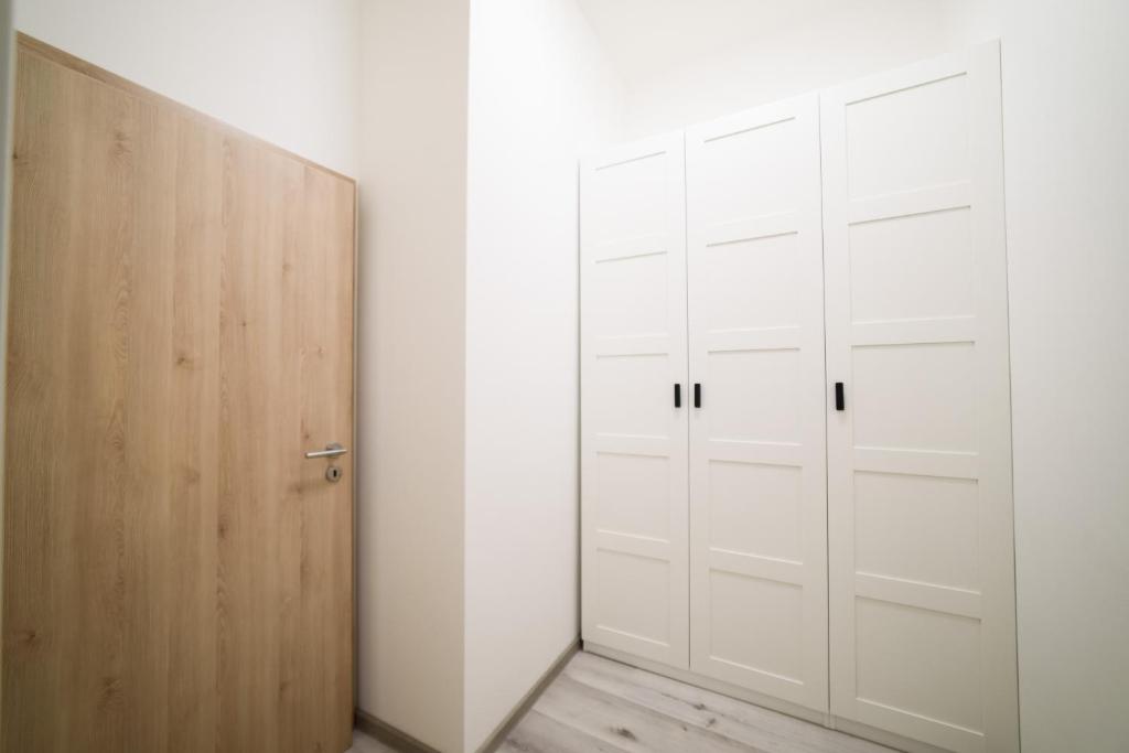 New apartments near Dancing house - 7