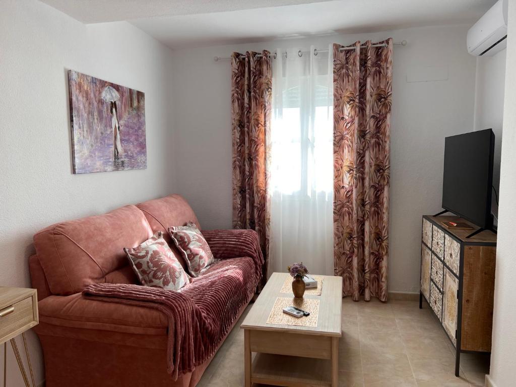 a living room with a brown couch and a tv at Estudios Costavigía Mazagón by Ramona in Mazagón