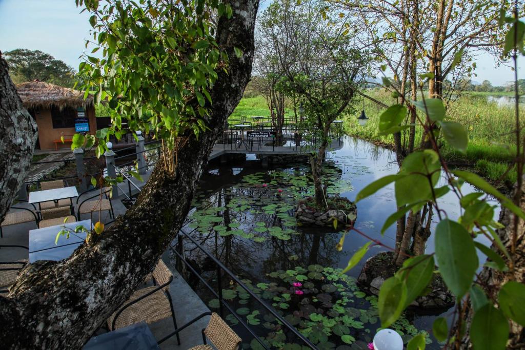 Sigiriya Wewa Addara Hotel - Hotel By The Lake - Chalet Met één Slaapkamer