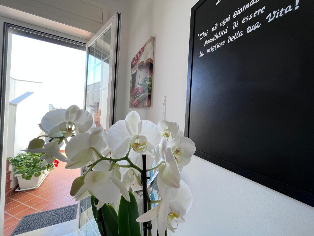 Fotografie z fotogalerie ubytování Innsud v destinaci Nardò