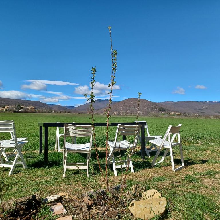 a group of chairs and a table in a field at Gîte les Granges dans ferme provençale. 14 pers in Ongles
