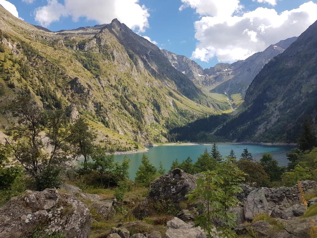 Příroda nedaleko apartmánu