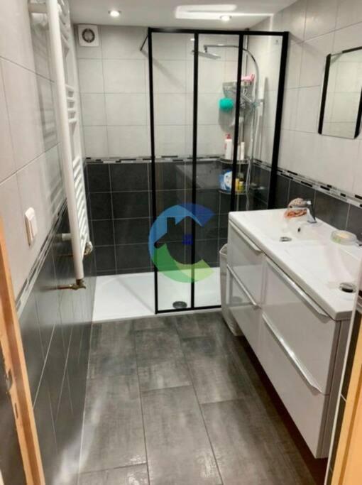 a bathroom with a shower and a sink at appartement au rez de jardin in Morangis