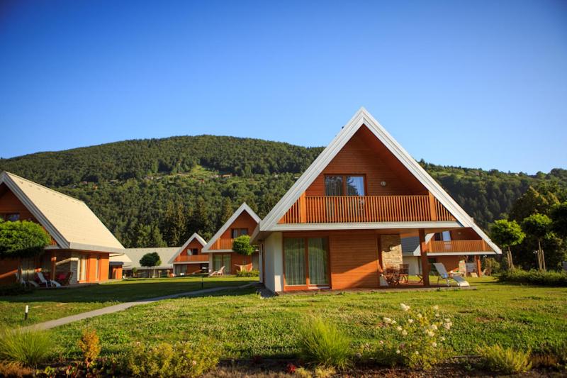 a row of houses in a field with a mountain at Family Apartments Terme Topolšica - Pušpan in Topolšica