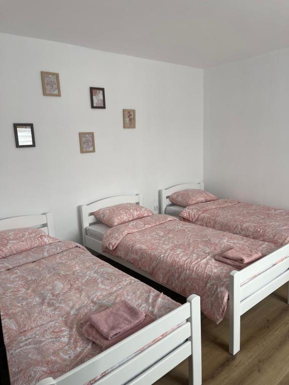 Tres camas sentadas una al lado de la otra en una habitación en Dedina kuća en Gornji Milanovac