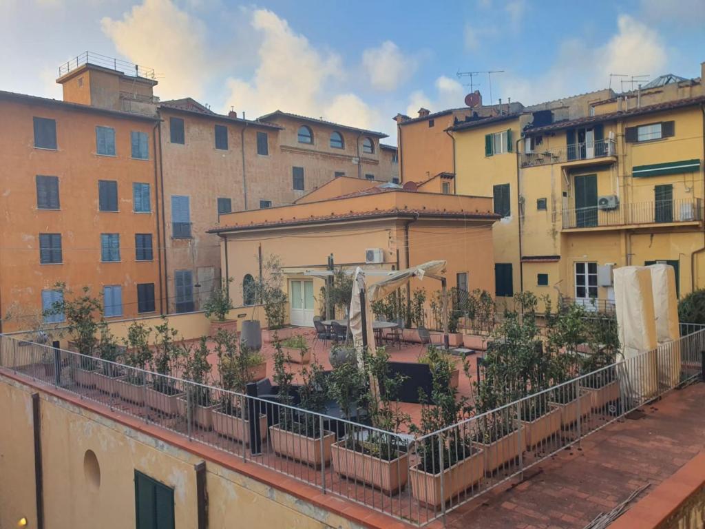 um grupo de edifícios com plantas num telhado em Mossotti Street Apartment em Pisa