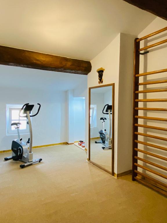 Fitness centrum a/nebo fitness zařízení v ubytování Aux Berges du Libre