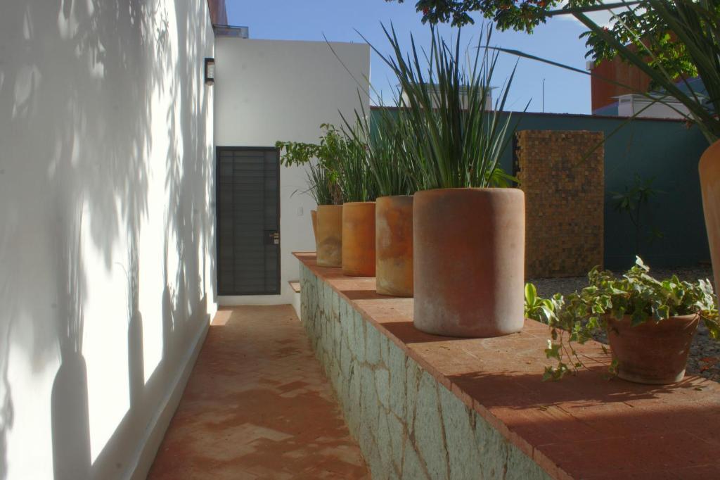 Cozana, Guest House