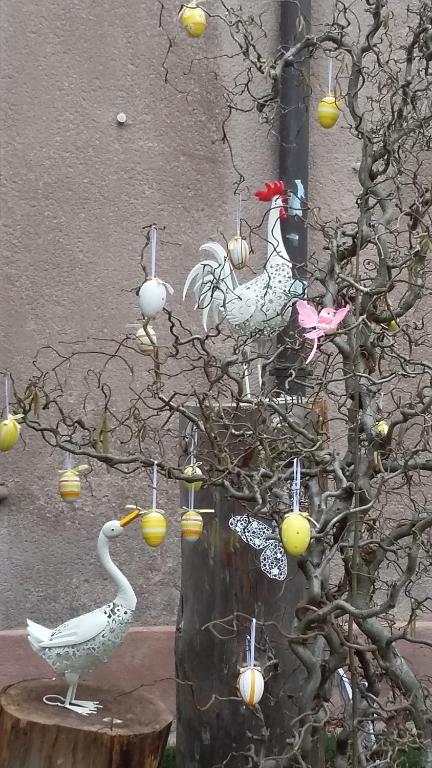 Commanderie Cottage Colmar – photo 59